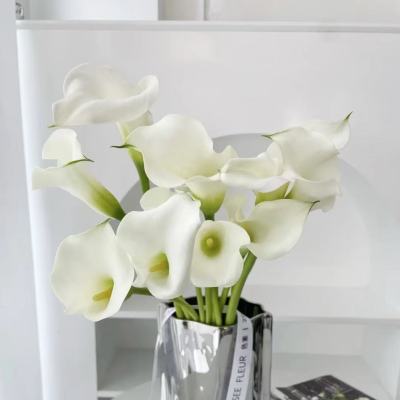 Calla Lily-White fresh cut rose wholesale from China