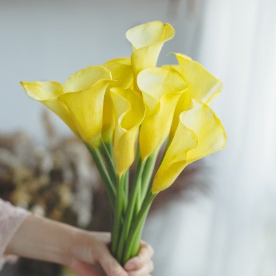 Chinese Calla-Yellow fresh cut rose wholesale from China