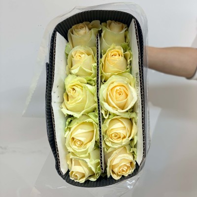 Rose-Peach Avalanche fresh cut rose wholesale from China