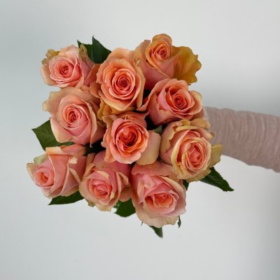 Rose-Nami fresh cut rose wholesale from China