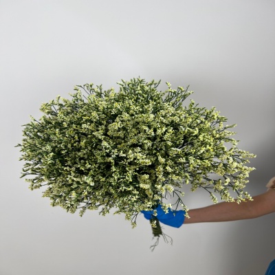 Limonium Minsty Yellow fresh cut rose wholesale from China