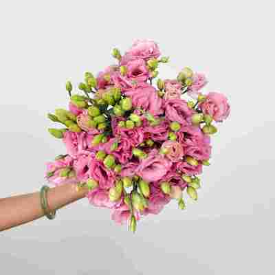 Eustoma Pink fresh cut rose wholesale from China