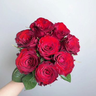 Rose-Red Rugosamore fresh cut rose wholesale from China